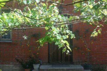 Гостевой дом «Мираж»