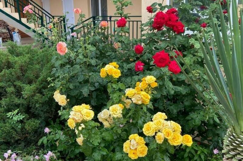 Гостевой дом «Светалина»