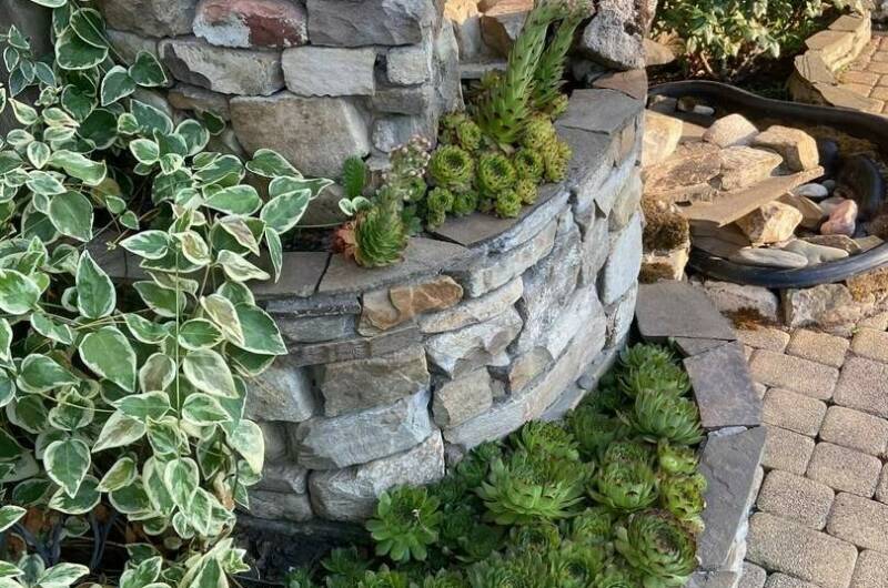 Гостевой дом «Светалина»