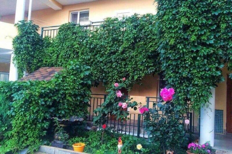 Гостевой дом «Светалина»