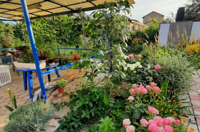 Гостевой дом «Нептун»