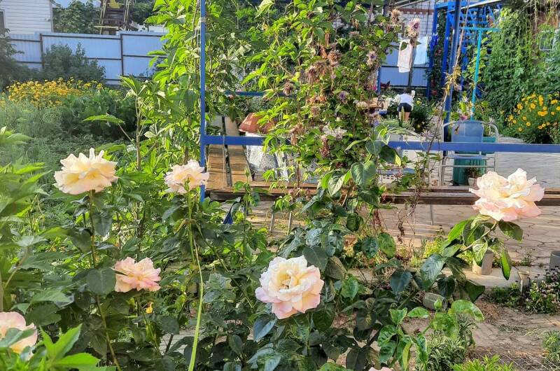 Гостевой дом «Нептун»