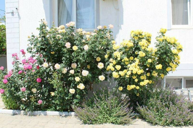 Гостевой дом «Лидия»