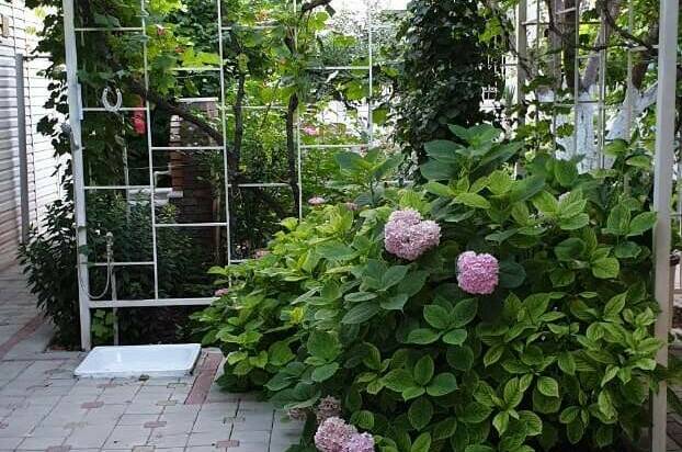 Усадьба на Горького