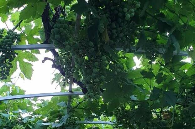 Усадьба на Горького