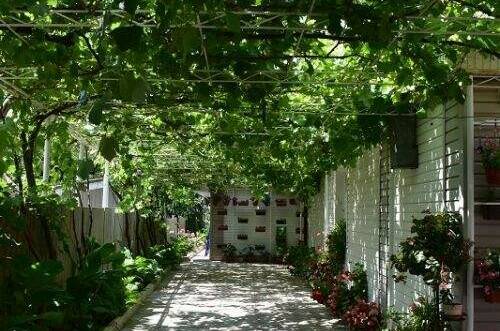 Гостевой дом «Лара»