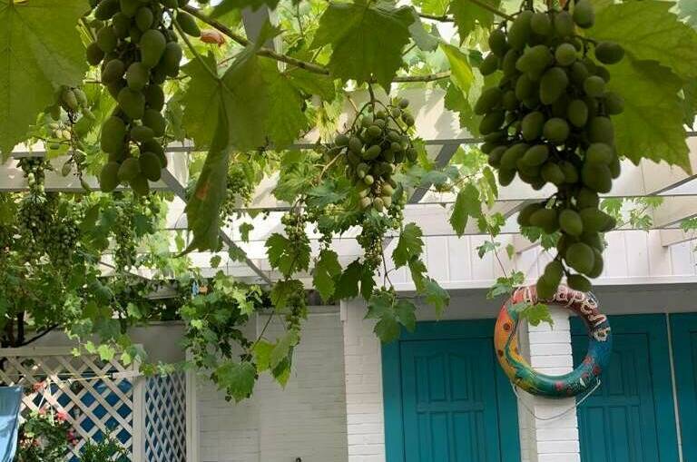 Гостевой дом «Акварель»