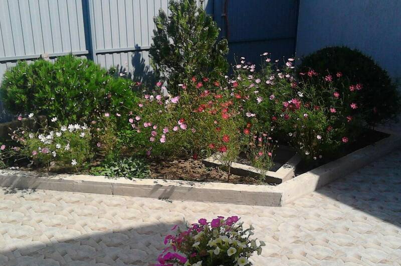 Этаж под ключ «У Захаровны»