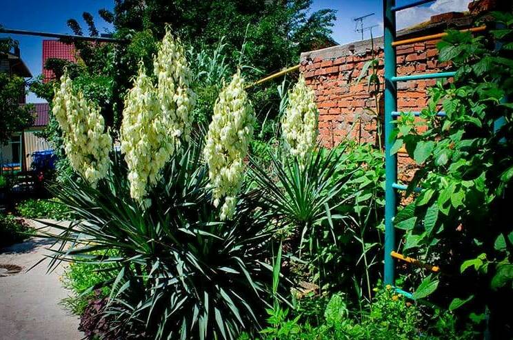 Гостевой дом «Отдых»