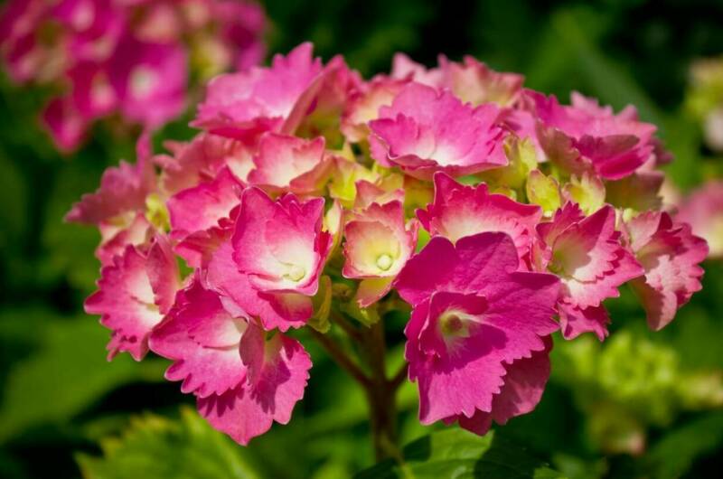 Гостевой дом «Отдых»