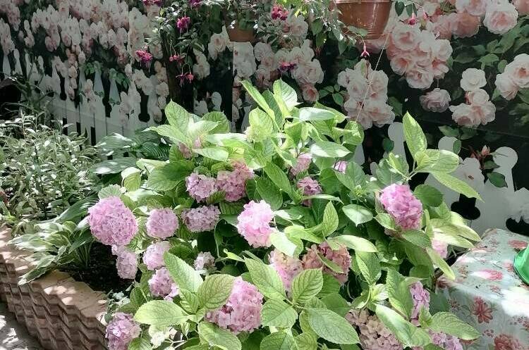 Гостевой дом «На Тургенева»