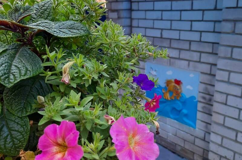 Гостевой дом «У Зои Николаевны»