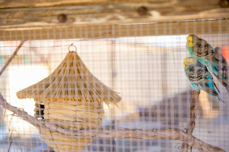 Гостевой дом «Rose Manor»