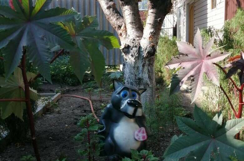 Гостевой дом «У Татьяны»