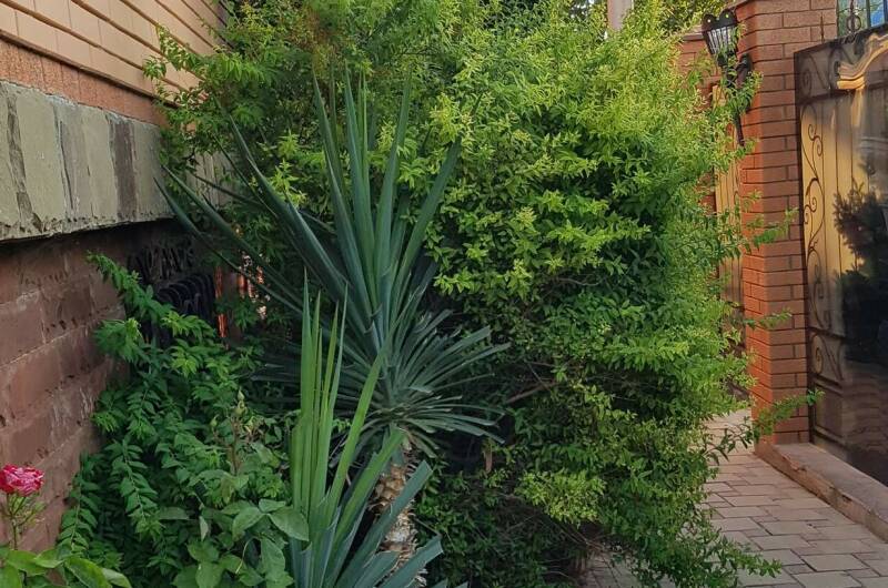 Гостевой дом «На Лозовой 2»