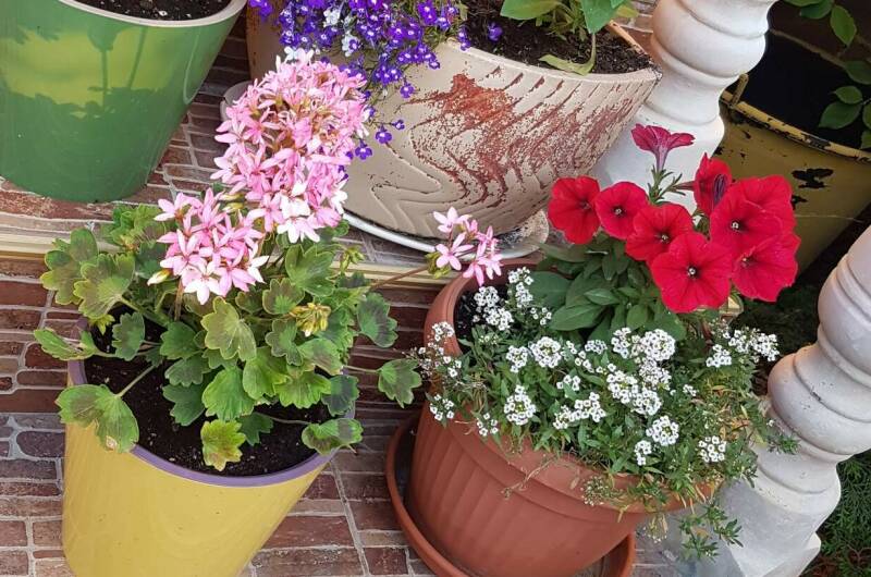 Гостевой дом «На Лозовой 2»