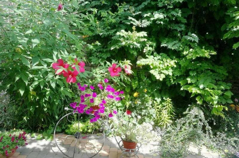 Частный сектор «Лидия»