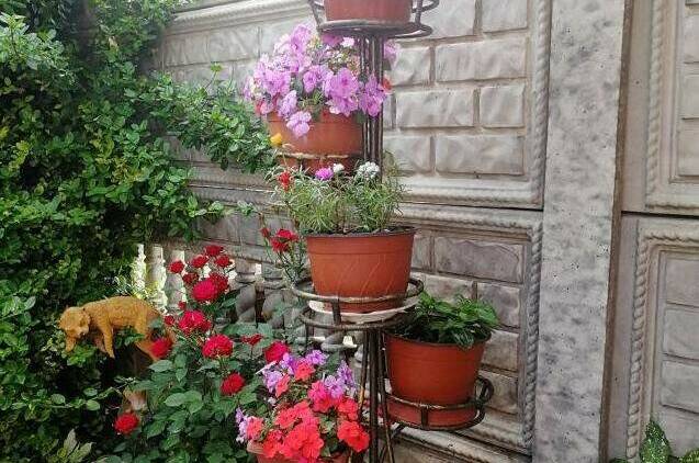 Частный сектор «Лидия»