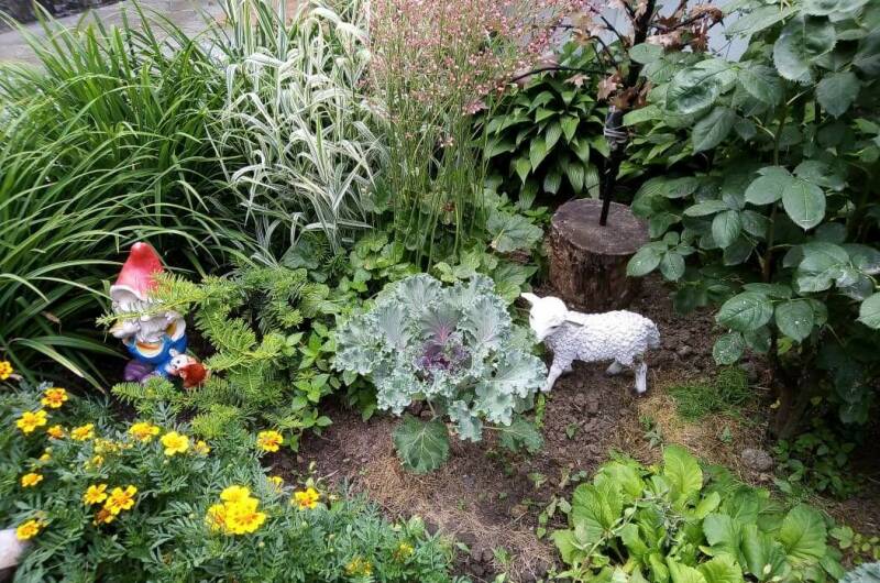 Гостевой дом «Зеленый дворик на Черноморской»