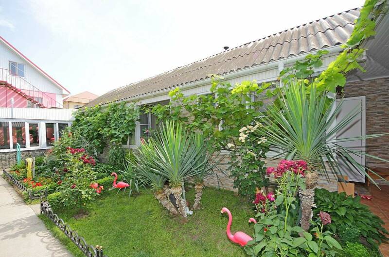 Гостевой дом «Зеленый дворик на Черноморской»