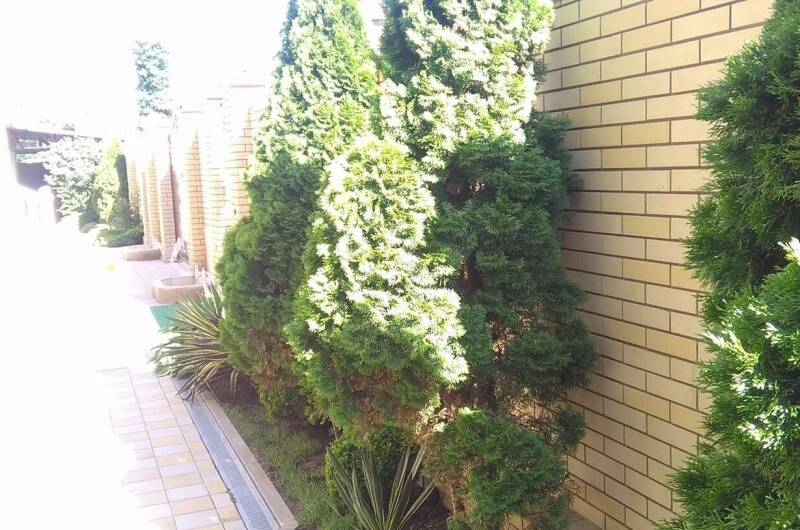 Частное домовладение «Астория»