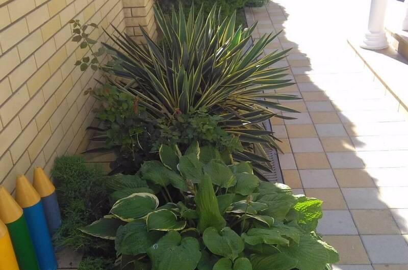 Частное домовладение «Астория»