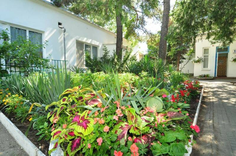 База отдыха «Голубые Ели»