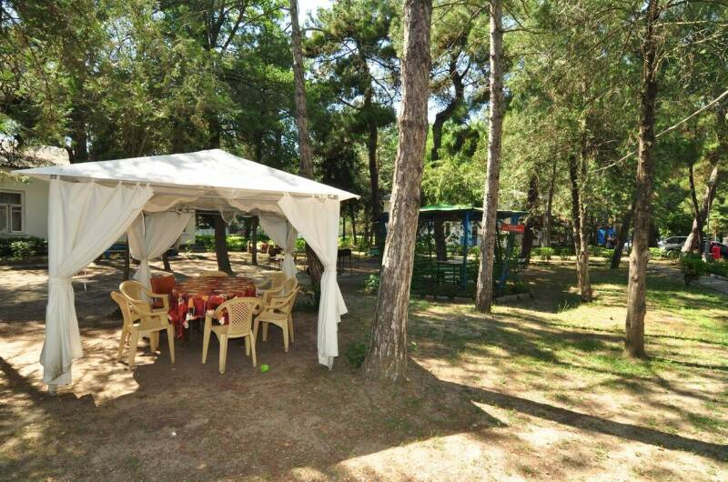 База отдыха «Голубые Ели»