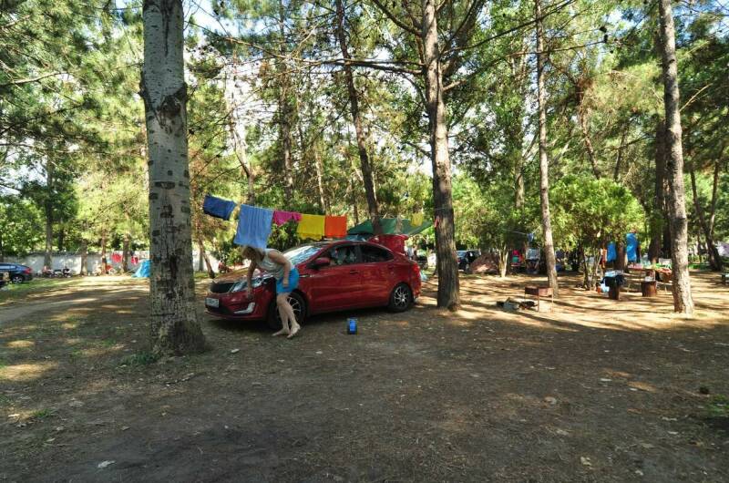 База отдыха «Голубые Ели»