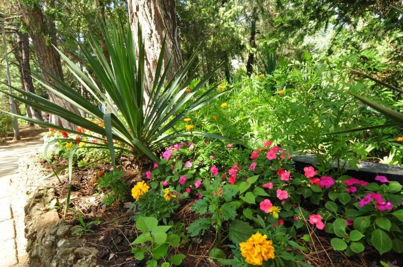 База отдыха «Голубые Ели»