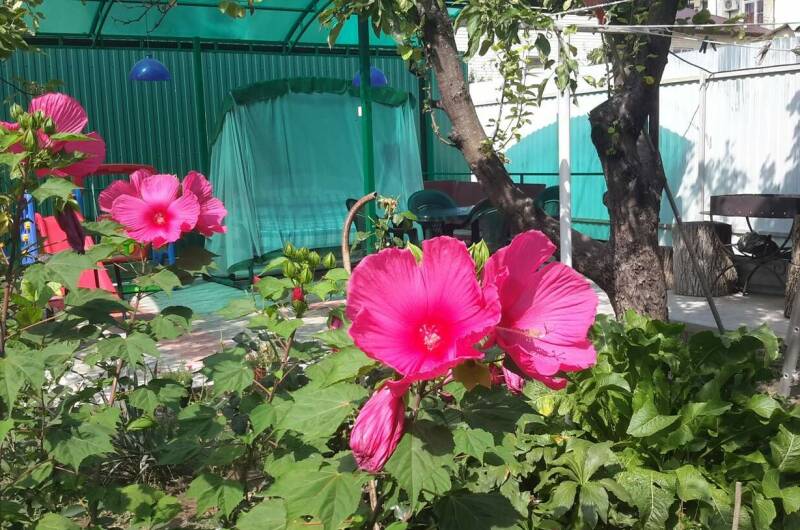 Дом под ключ