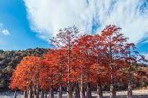 Гостевой дом «Магеллан»