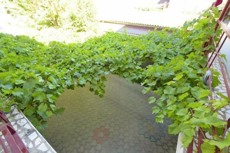 Гостевой дом «Амелия»