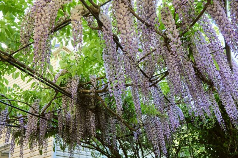 Частный дом «Мелодия»