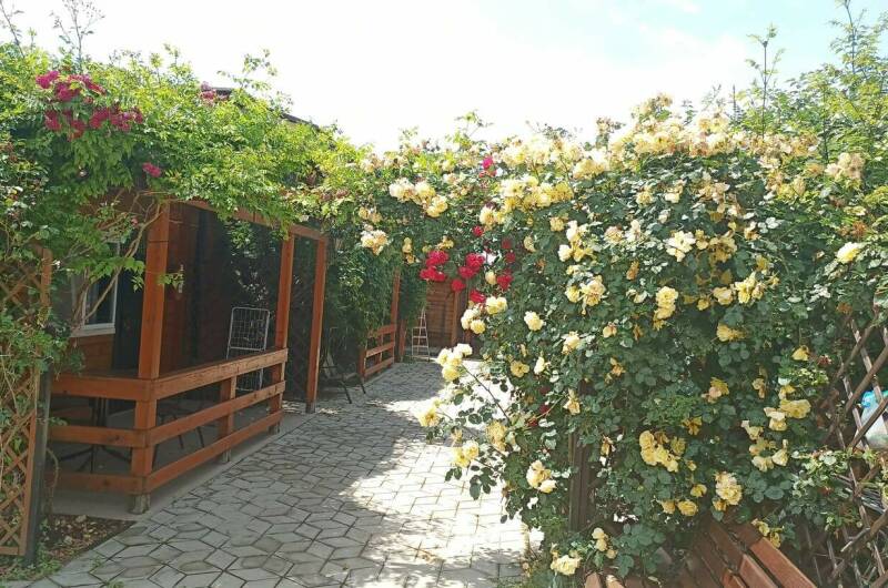 Деревянные Коттеджи на Лазурном