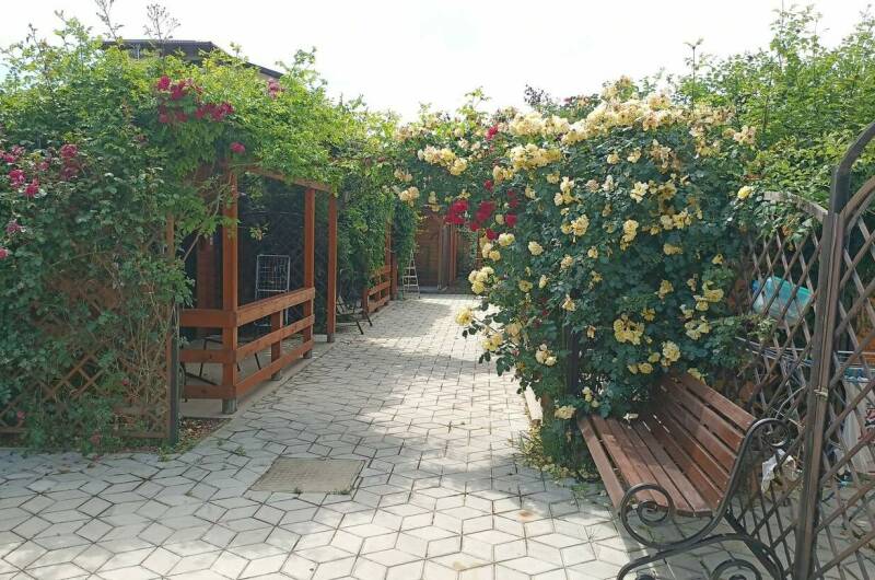 Деревянные Коттеджи на Лазурном