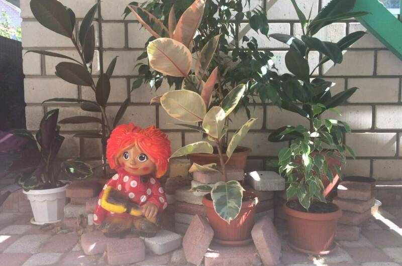 Гостевой дом «Натали»