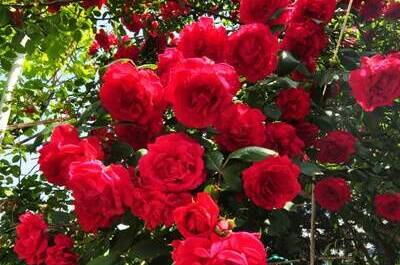 Частный сектор «В гостях у Валентины»