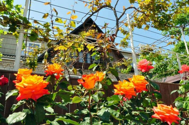 Частный сектор «В гостях у Валентины»