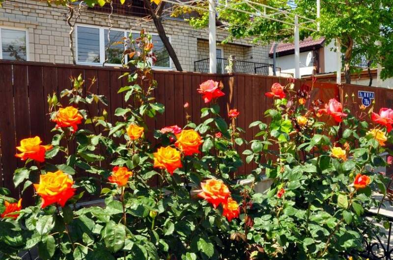 Частный сектор «В гостях у Валентины»