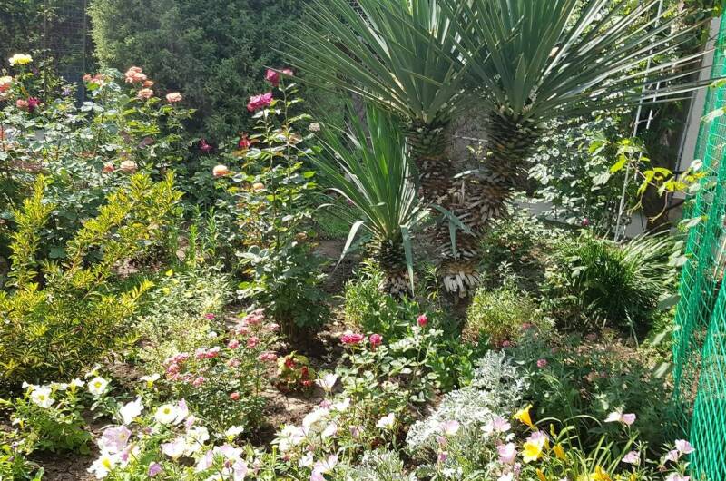 Частный сектор «В гостях у Валентины»