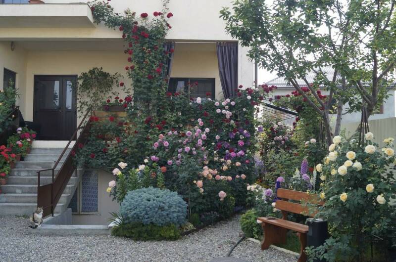 Частный дом «Жемчужина»