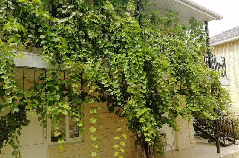 Гостевой дом «Для семьи»