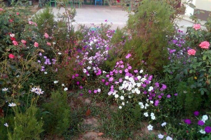 База отдыха «Дружба»