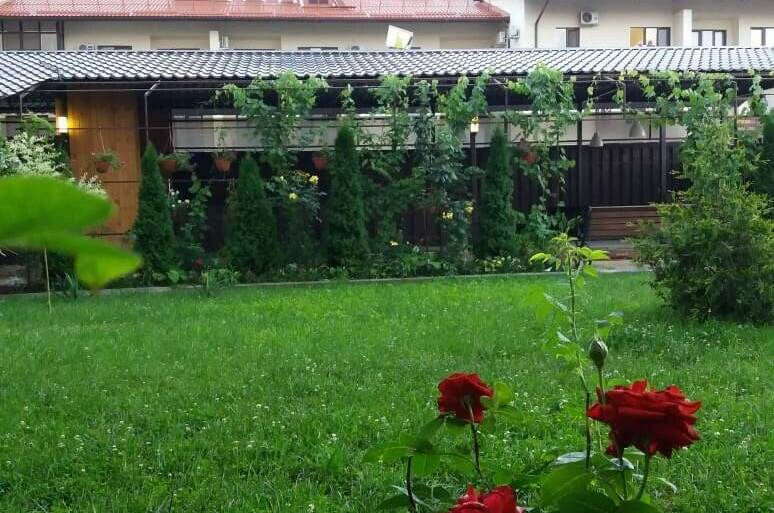 Гостевой дом «Аркада»