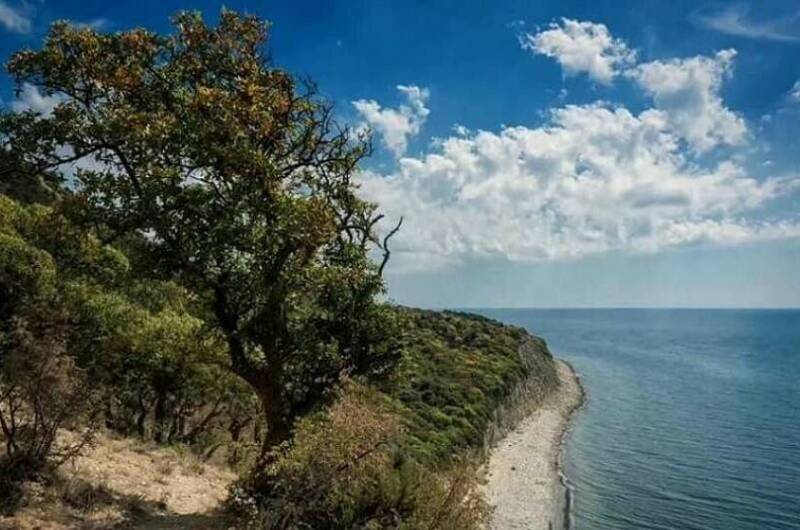 Гостевой дом «Аркада»