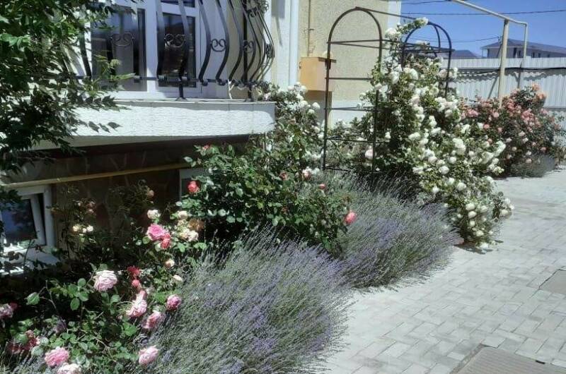 Гостевой дом «Светлана»