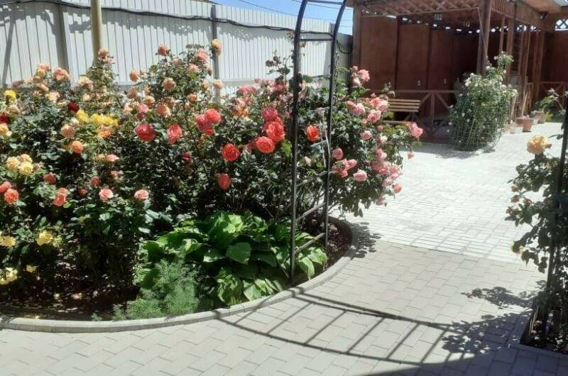 Гостевой дом «Светлана»