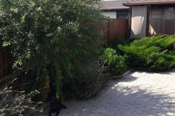 1-но комнатные апартаменты на переулке Светлый