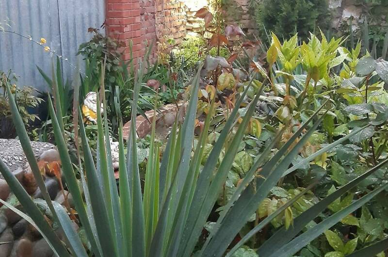 Частный дом «Поцелуй солнца»